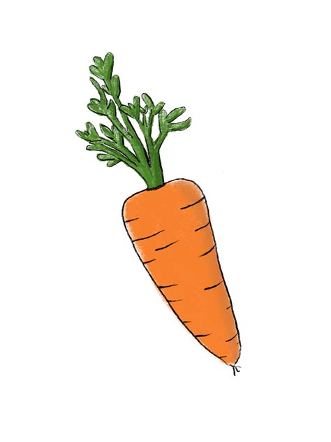 carrot drawing